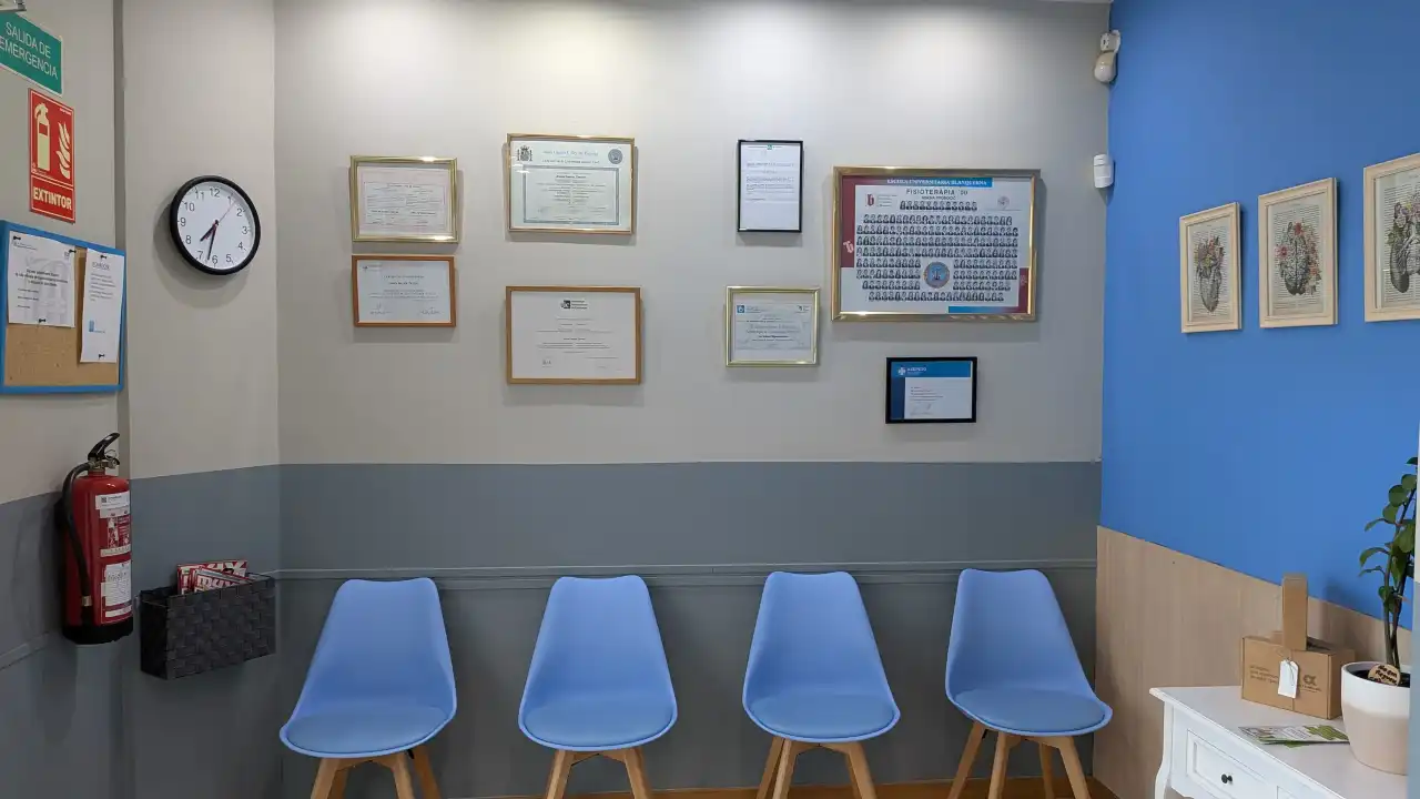 Diplomes i certificacions